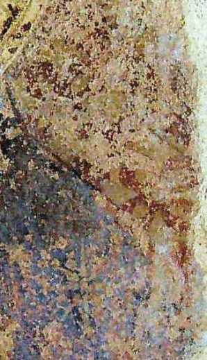 La stella sulla spalla della Vergine e lo sfondo rosso con gigli d'oro