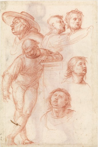 Fra Bartolomeo, Studio di figure per la Madonna della Misericordia, c.a. 1515, Museo Boijmans Van Beuningen (Collection Koenigs)