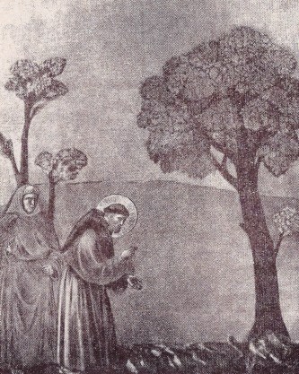 San Francesco con gli uccelli: meravigliosa predilezione...