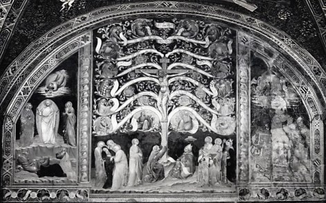 Antonio Vite (attr.), Albero della vita, Sala capitolare del Convento di San Francesco (Pistoia)