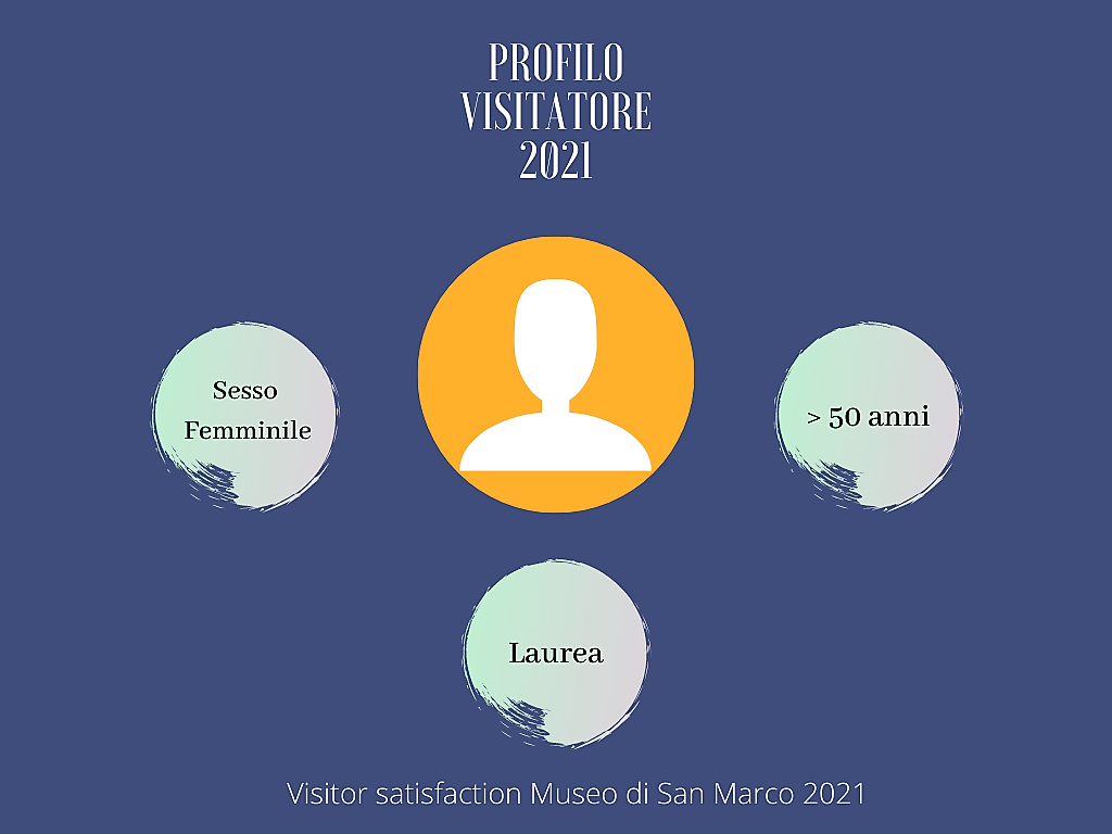 MSM Visitor profile